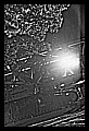 JPG_concordia_n300509_pt1_IMG9680.JPG