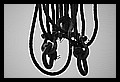 JPG_concordia_t310509_pt2_IMG9894.JPG