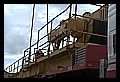 JPG_demo_280ec-h16_wq_IMG0765.JPG
