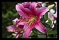 JPEG_IMGP5543.jpg