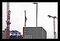 IMGP8082.JPG