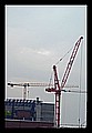 IMGP8104.JPG