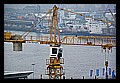 JPG_IGP0485_Ueberseequartier_Hafencity_HH_071108.JPG
