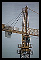 JPG_IGP0527_Ueberseequartier_Hafencity_HH_071108.JPG
