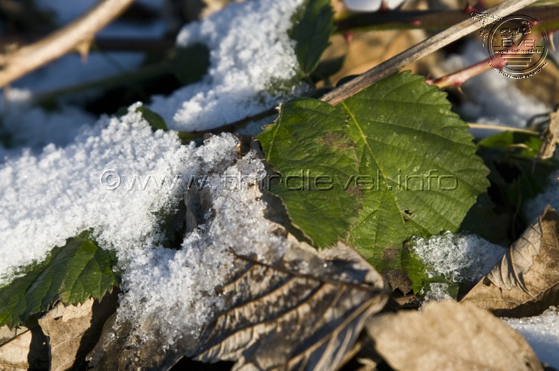 JPG_Winter_Airport-Stadt_IMG4204.JPG