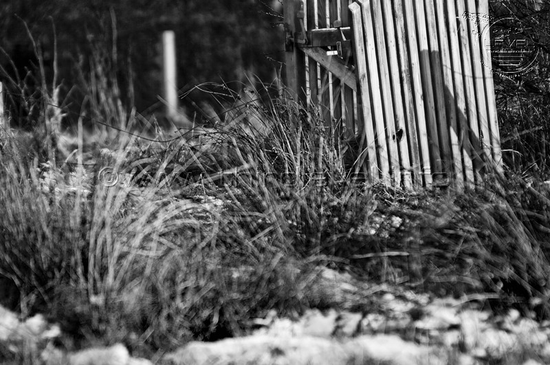 JPG_Winter_Airport-Stadt_IMG4224.JPG
