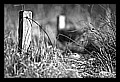 JPG_Winter_Airport-Stadt_IMG4239.JPG