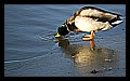 JPG_Winter_Airport-Stadt_IMG4300.JPG