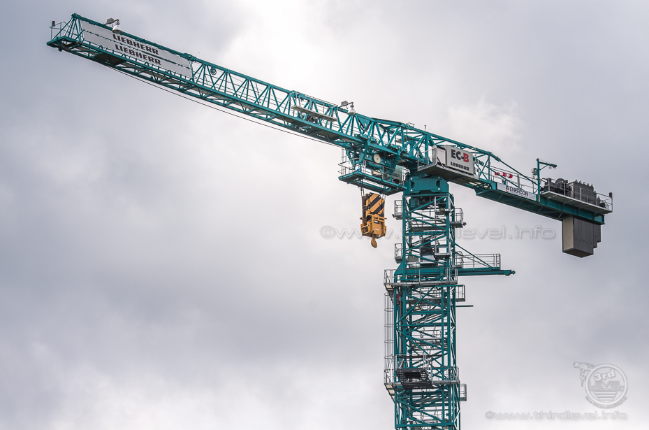 IMGP8800 - 16. August 2014 - 4928 x 3264