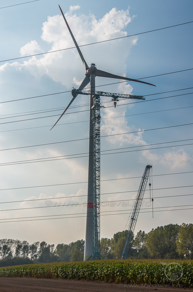 IMGP0525 - 03. Oktober 2014 - 3264 x 4928