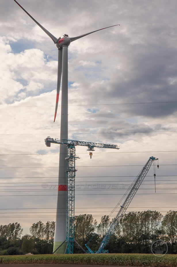 IMGP0638 - 07. Oktober 2014 - 3264 x 4928