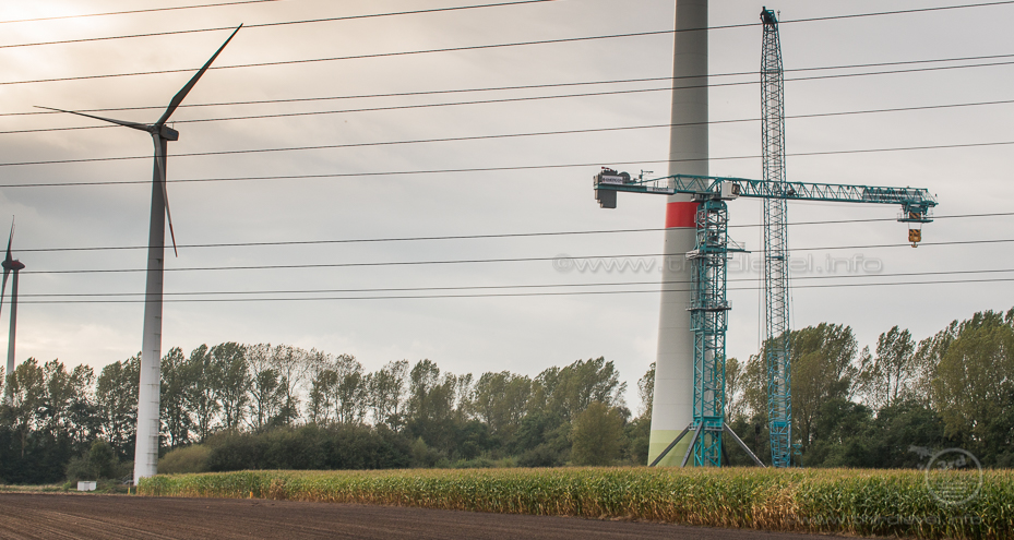 IMGP0678 - 08. Oktober 2014 - 4928 x 3264