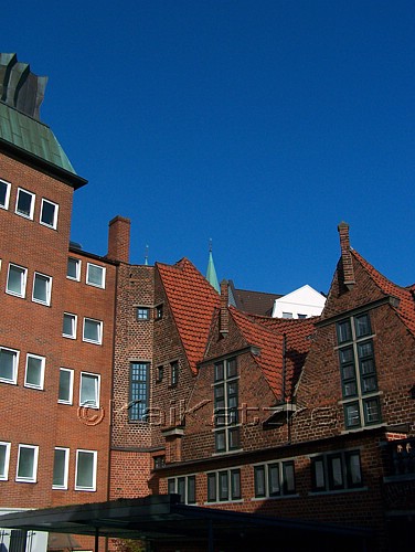 100_4332.jpg