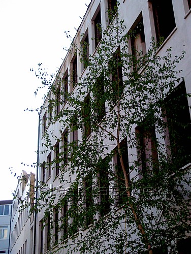 100_4333.jpg