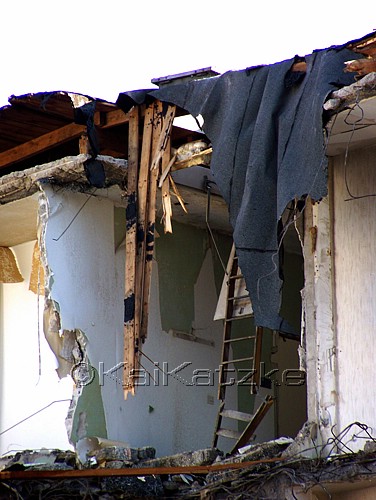 100_4361.jpg
