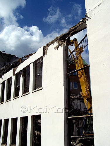 100_4450.jpg
