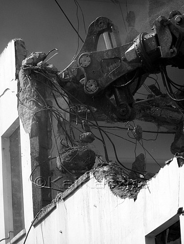 100_4453.jpg