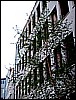 100_4333.jpg