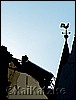 100_4345.jpg