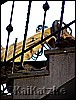 100_4354.jpg