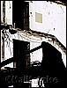 100_4546.jpg
