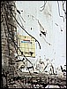 100_4554.jpg