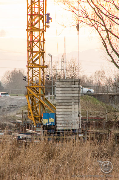 IMGP2017 - 26. Februar 2014 - 3264 x 4928