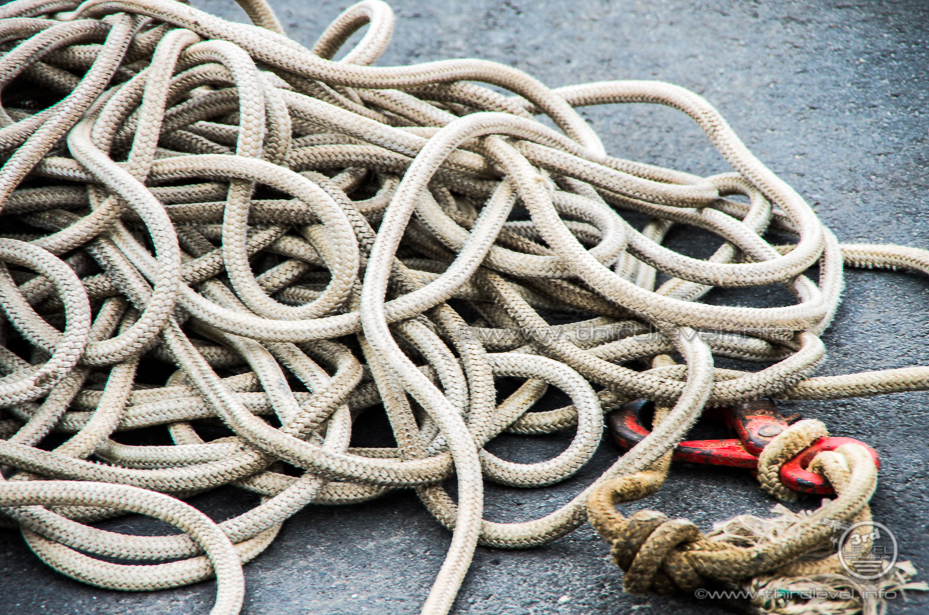 IMGP8882 - 29. Juni 2016 - 4928 x 3264